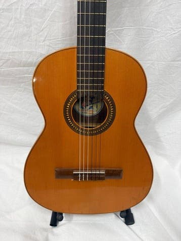 Hijos de Vicente Tatay S.L. - Spanish Classical (Solid-Top), Nieuw