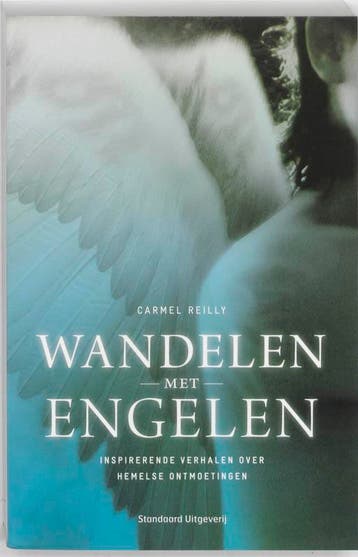 Wandelen met engelen - Carmel Reilly 9789002240195, Verzenden, Zo goed als nieuw, Carmel Reilly