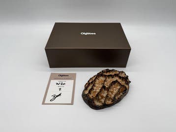 Objètes - Objètes by Bouk de Roeck - sculptuur, Objètes W20