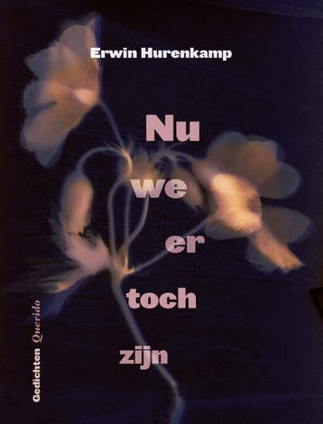 Nu we er toch zijn - Erwin Hurenkamp 9789021477480, Verzenden, Zo goed als nieuw, Erwin Hurenkamp