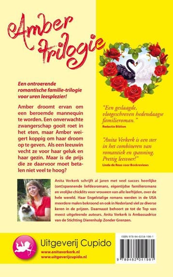 Amber trilogie 9789462041981 Anita Verkerk, Verzenden, Gelezen, Anita Verkerk