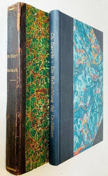 Franz Unger / Charles Darwin - Anatomie und Physiologie der, Antiek en Kunst