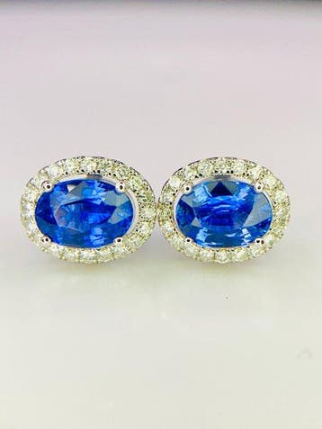 Oorbellen - 14 karaat Witgoud - 2.16ct. tw. Saffier -, Nieuw