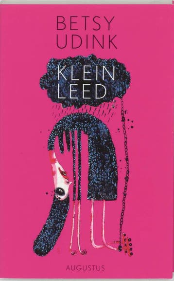 Klein leed - B. Udink 9789045700502, Verzenden, Gelezen, B. Udink