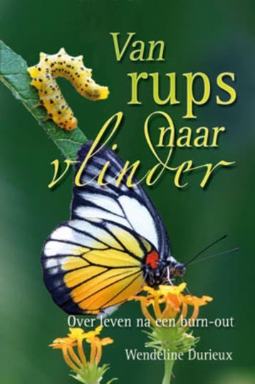 VAN RUPS NAAR VLINDER - Wendelien Durieux 9789033815508, Verzenden, Zo goed als nieuw, Wendelien Durieux