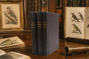 Savi - Ornitologia Italiana - 1873-1876