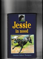 JESSIE IN NOOD 9789035906662 PULLEIN, Boeken, Verzenden, Gelezen, PULLEIN