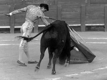 Hubertus Hierl (1940) - Stierkampf in Fréjus (7.8.1966) -