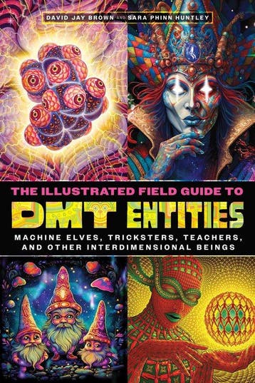 9781644119198 The Illustrated Field Guide to DMT Entities, Boeken, Verzenden, Nieuw, David Jay Brown