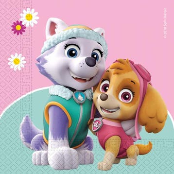 Servetten Paw Patrol Skye & Everest (20st), Hobby en Vrije tijd, Feestartikelen, Ophalen of Verzenden, Nieuw