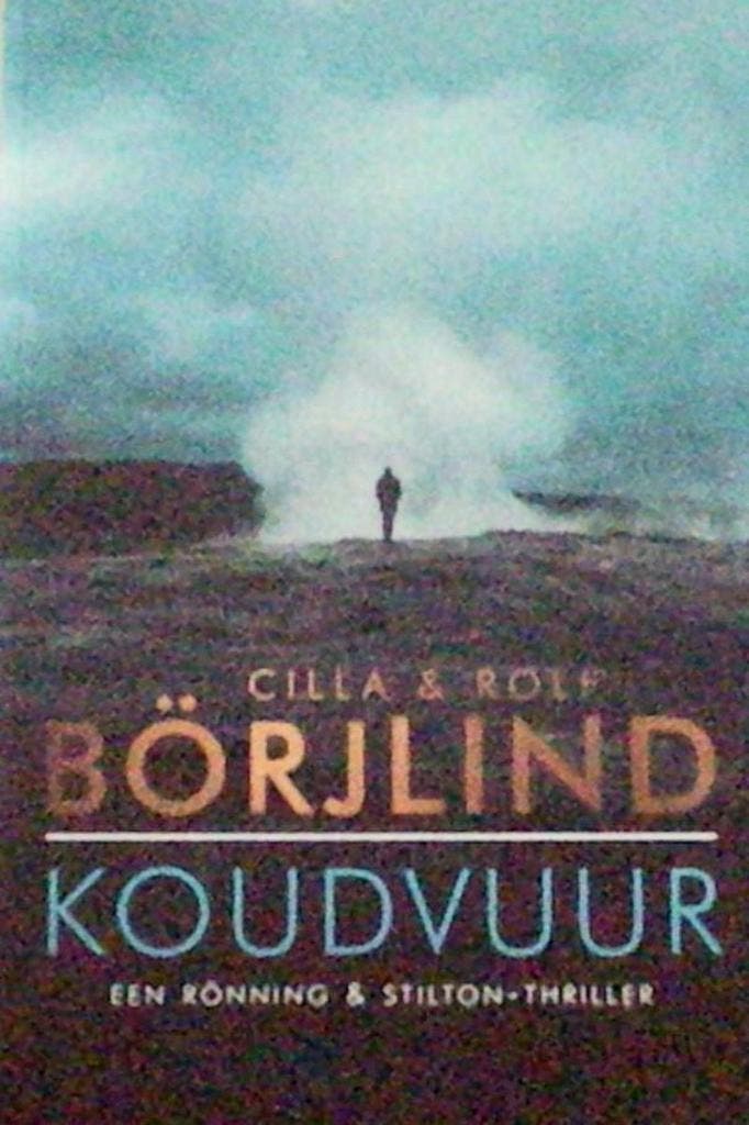 Koudvuur 9789044984378 Cilla Börjlind, Boeken, Literatuur, Zo goed als nieuw, Verzenden