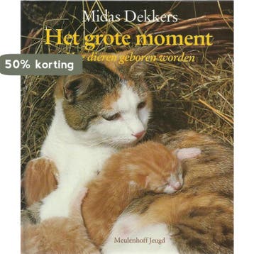 Het grote moment - Dekkers 9789029095884, Verzenden, Gelezen, Dekkers