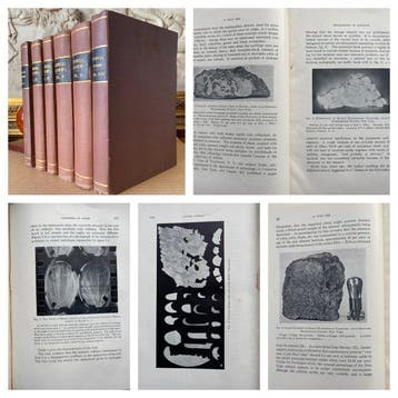 Various. - Chemical Reviews. - 1925-1929