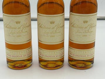 1995 Chateau dYquem - Sauternes 1er Cru Supérieur - 3 Halve, Verzamelen, Nieuw