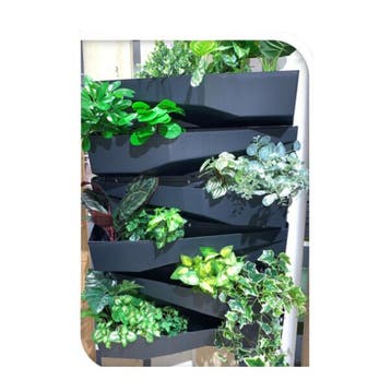 Plantenbak | Gardalux | 78 x 19 x 35 cm | 2 stuks, Verzenden, Nieuw