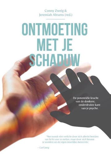9789076681320 Ontmoeting met je schaduw Conny Zweig, Boeken, Verzenden, Nieuw, Conny Zweig