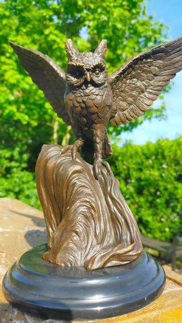 nick - sculptuur, imposante uil met gespreide vleugels - 24, Antiek en Kunst