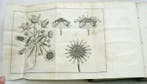 Martinus Houttuyn, Carl von Linné - Natuurlyke historie of