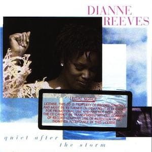 cd - Dianne Reeves - Quiet After The Storm, Verzenden, Zo goed als nieuw