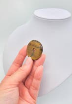 Tijgeroog donut hanger 40mm, Ophalen of Verzenden