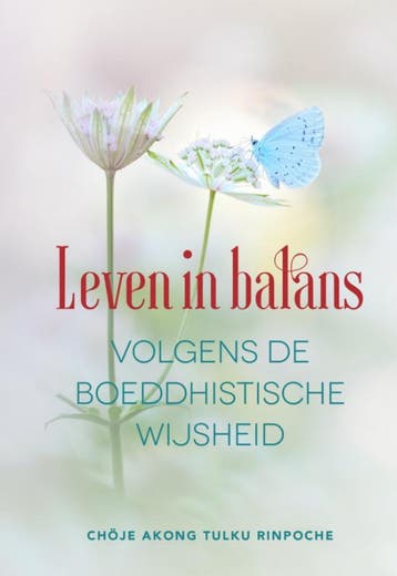Leven in balans - Akong Tulku Rinpoche 9789493160972, Verzenden, Zo goed als nieuw, Akong Tulku Rinpoche