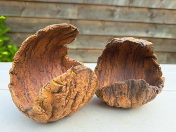2 stuks Bonsai schalen +- 10x10x10cm - ongeglazuurd - Hoogte