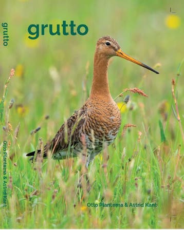 Grutto - Otto Plantema 9789464069624, Verzenden, Gelezen, Otto Plantema
