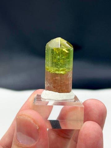 Tweekleurige tourmalijn Kristal - Hoogte: 32 mm - Breedte: