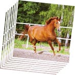 Paarden party set Beautiful Horses 46-delig, Verzenden, Nieuw, Overige soorten