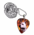 Plectrum ketting of sleutelhanger van een Pitbull hond, Ophalen of Verzenden, Nieuw