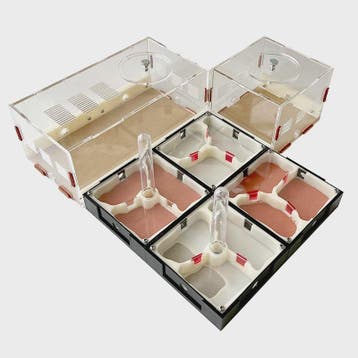Acryl Mierenboerderij met Uitbreidingsmogelijkheden, Voeding, Dieren en Toebehoren