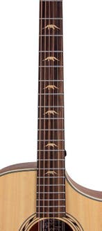 Bromo BAA4C Appalachian Auditorium | Music Department, Ophalen of Verzenden, Nieuw, Western- of Steelstringgitaar