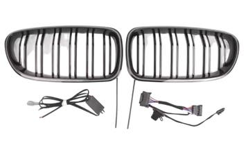 Grill | geschikt voor BMW 5-Serie F10/F11 | LED verlichting, Auto-onderdelen, Verzenden, Nieuw, BMW