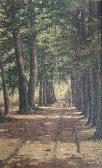 Jacques Bergmans (XX) - Boslaan
