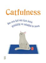Catfulness 9789022581216 Paolo Valentino, Boeken, Verzenden, Gelezen, Paolo Valentino