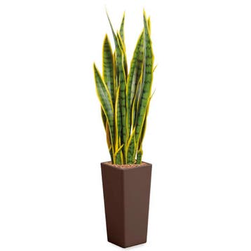 Sansevieria kunstplant, H115cm, Ophalen of Verzenden, Overige soorten, 100 tot 150 cm