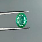 Zonder minimumprijs Groen Smaragd - 2.25 ct - International, Nieuw