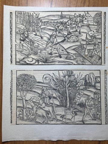 Johann Grüninger, Straßburg 1502 / Sebastian Brant - 2