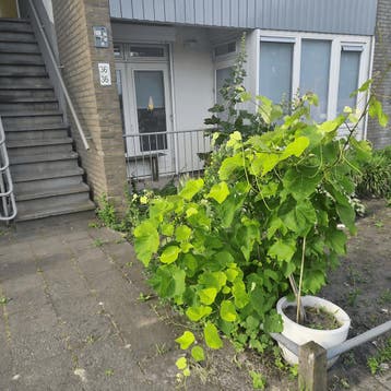Studio in Utrecht gevonden voor €805,- pm, Huizen en Kamers, Kamers te huur, 35 tot 50 m², Utrecht