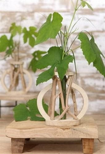 Decoratief Drijfhout met Reageerbuis L14 W7 H18,5 cm, Ophalen of Verzenden, Nieuw