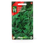 Slazaad | VT (Veldsla), Tuin en Terras, Bloembollen en Zaden, Verzenden