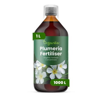 Plumeria Vloeibare Meststof - 1 liter, Verzenden, Mest
