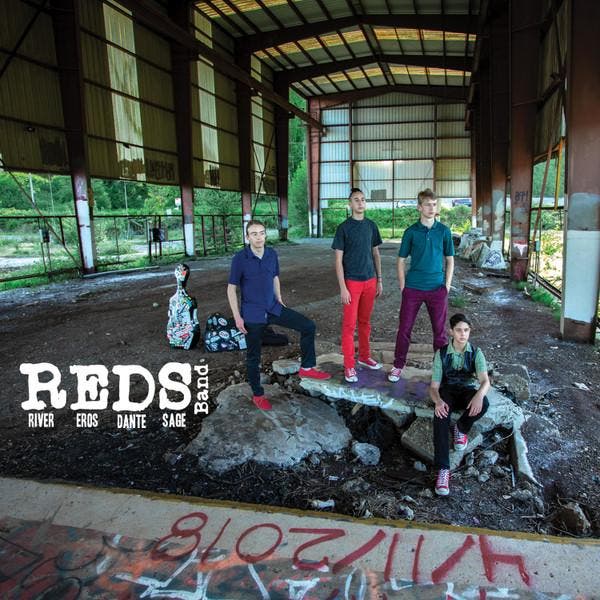cd digi - REDS Band - REDS Band, Cd's en Dvd's, Cd's | Overige Cd's, Zo goed als nieuw, Verzenden