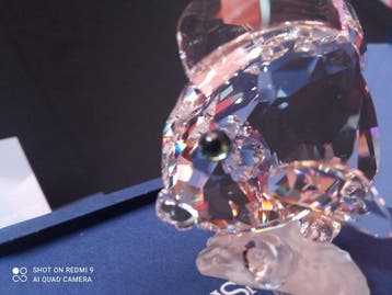 Swarovski - Beeldje, 2007 Blue Tang Fish clear - 883822 -, Antiek en Kunst