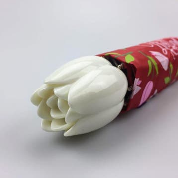 Paraplu Holland tulpen compilatie, Ophalen of Verzenden, Nieuw