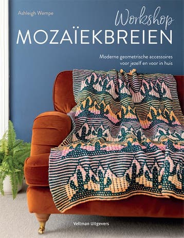 Workshop Mozaïekbreien | Ashleigh Wempe | Nieuw, Ophalen of Verzenden, Nieuw, Ashleigh Wempe