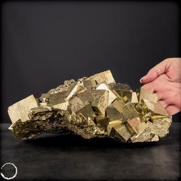 Topkwaliteit natuurlijk gouden pyriet Kubussen met kwarts en