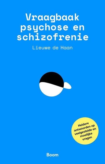 9789024434589 Vraagbaak psychose en schizofrenie, Verzenden, Zo goed als nieuw, Lieuwe de Haan