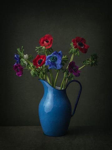 Tessa Posthuma de Boer - Anemone #6