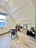 Te huur: Kamer Noordsingel in Rotterdam